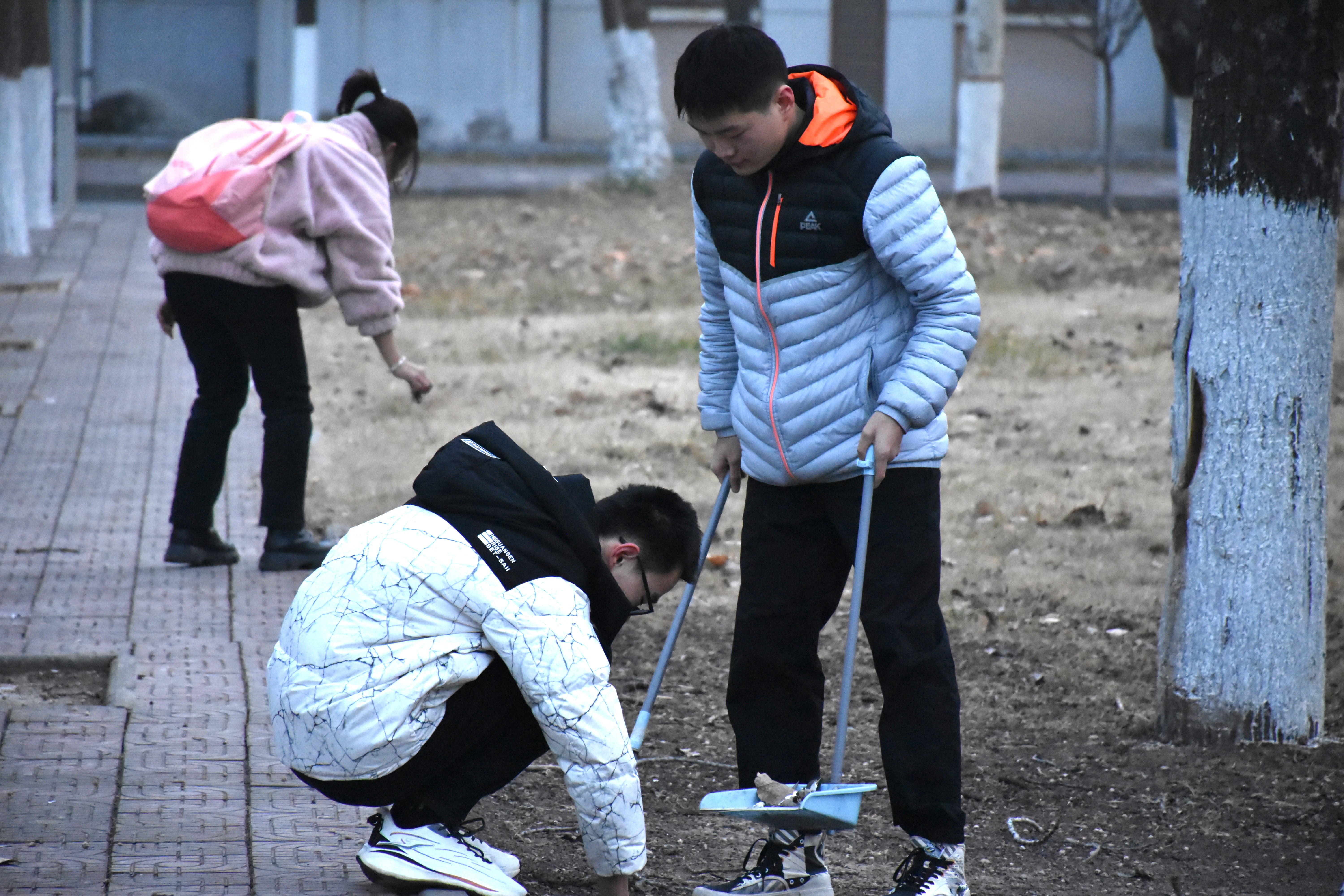 1488d45a50944439b83fc919bf8629cc.jpg 1488d45a50944439b83fc919bf8629cc.jpg