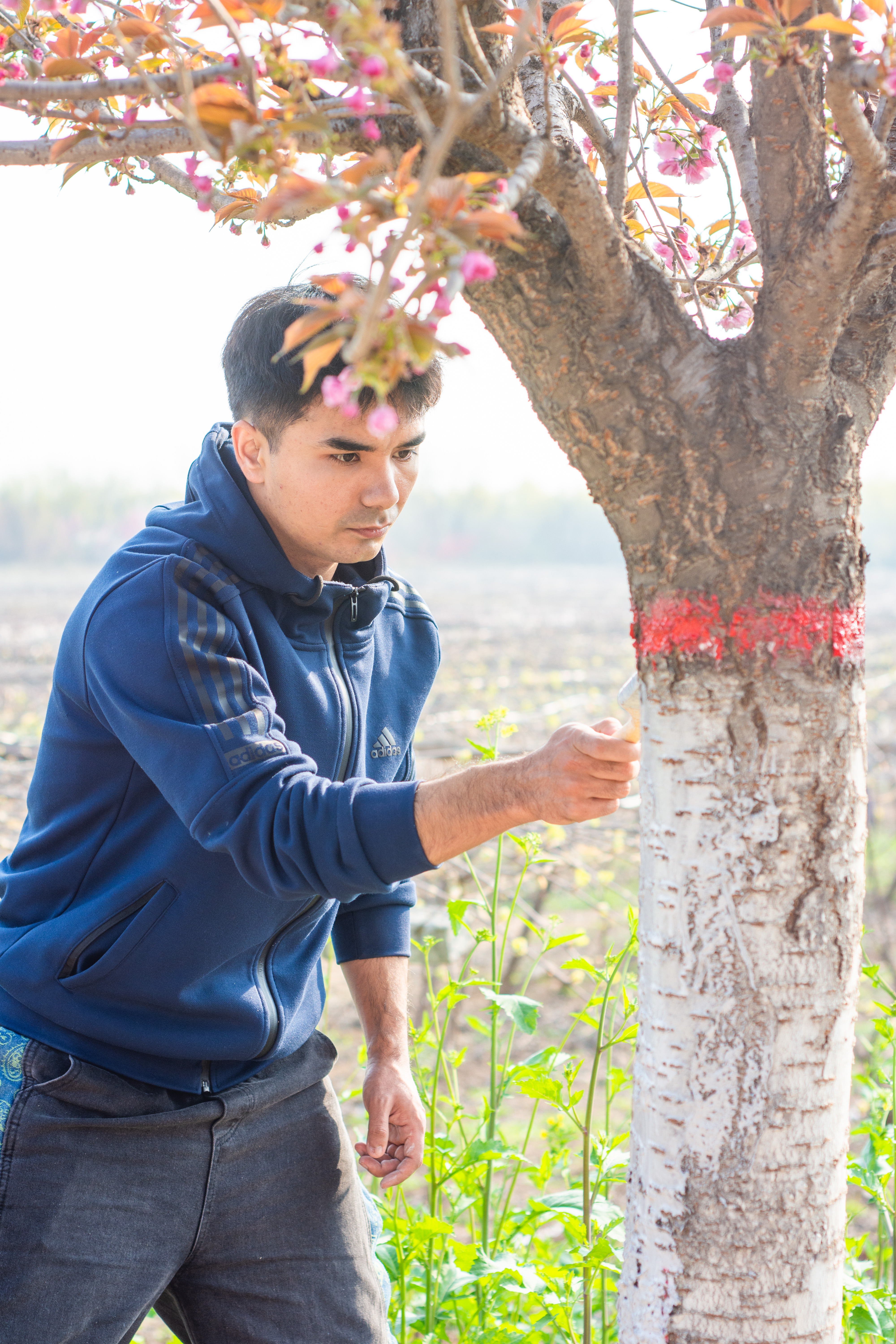 5b76afa304954b90a9ed9d7a02205194.jpg 5b76afa304954b90a9ed9d7a02205194.jpg