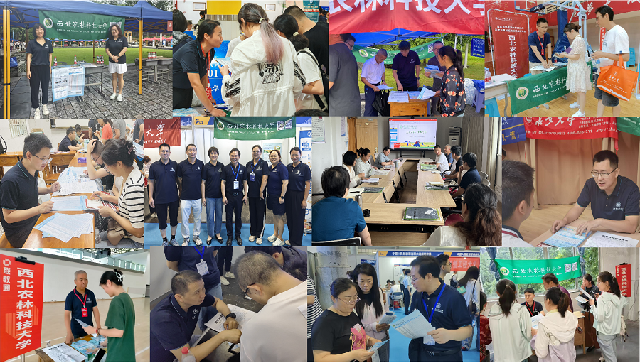 图片1 - 副本.png